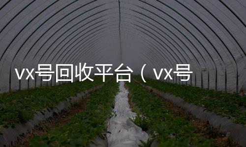 vx号回收平台（24小时收vx秒结vx号回收平台联系方式查询）